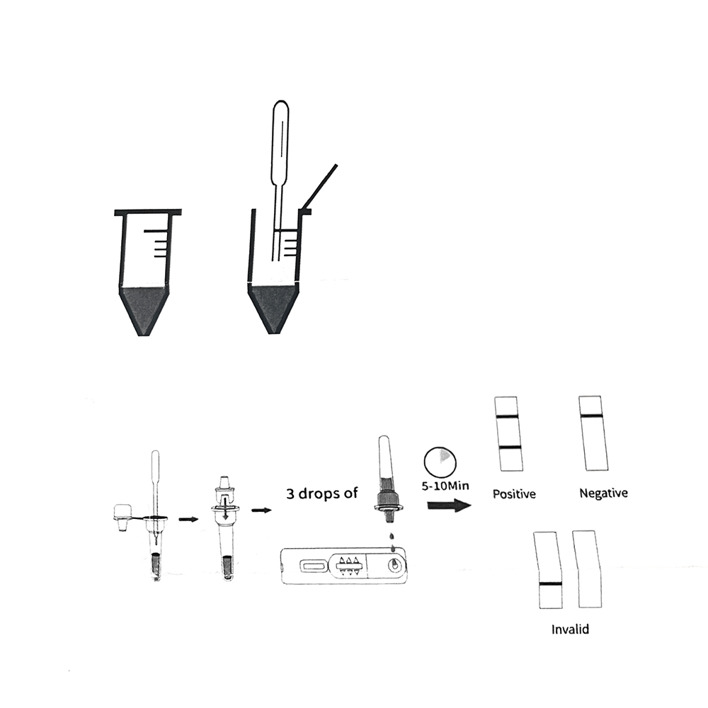 1set/5set Professional Pet Dog - đánh giá và giá Urine Analyzer Strip